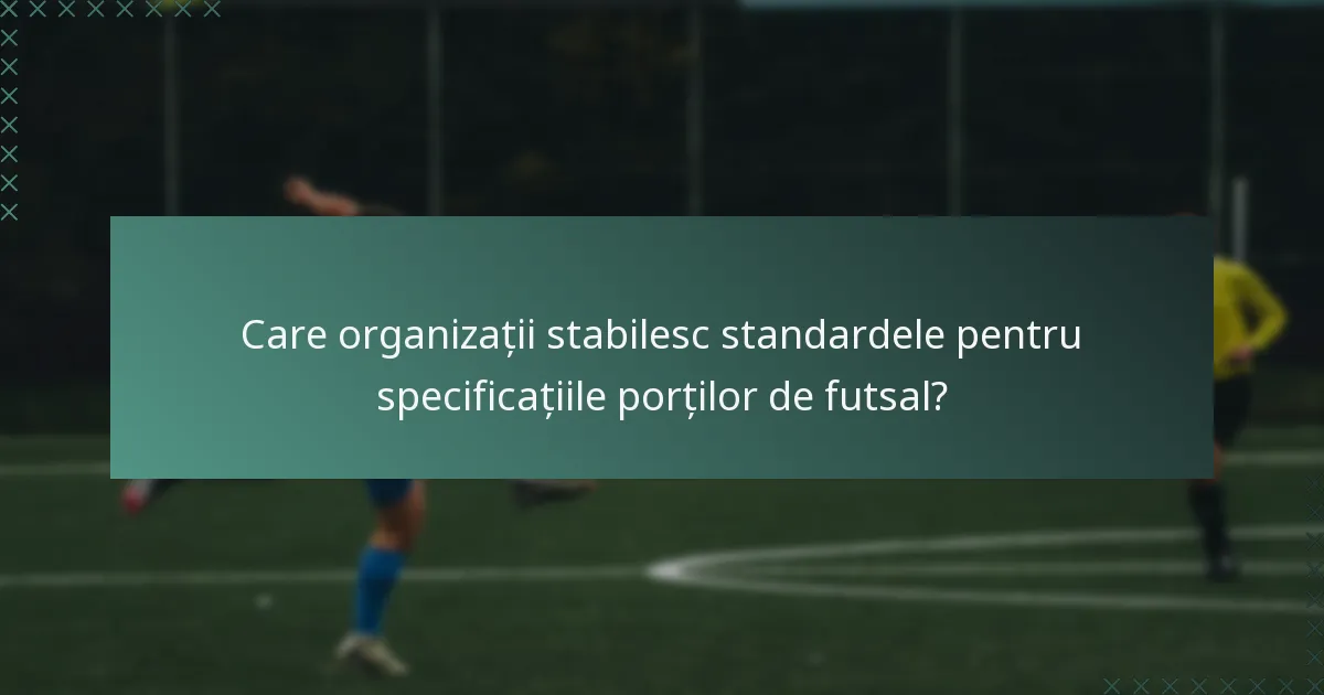 Care organizații stabilesc standardele pentru specificațiile porților de futsal?