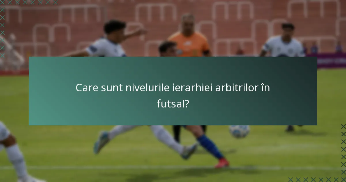 Care sunt nivelurile ierarhiei arbitrilor în futsal?