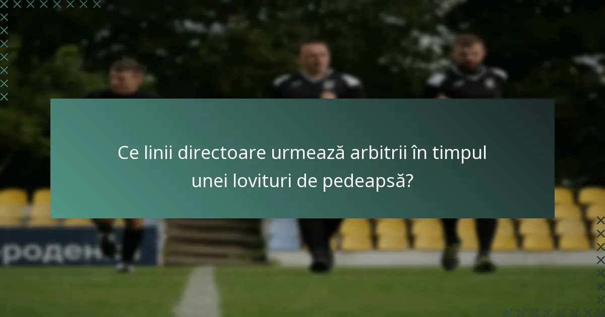 Ce linii directoare urmează arbitrii în timpul unei lovituri de pedeapsă?